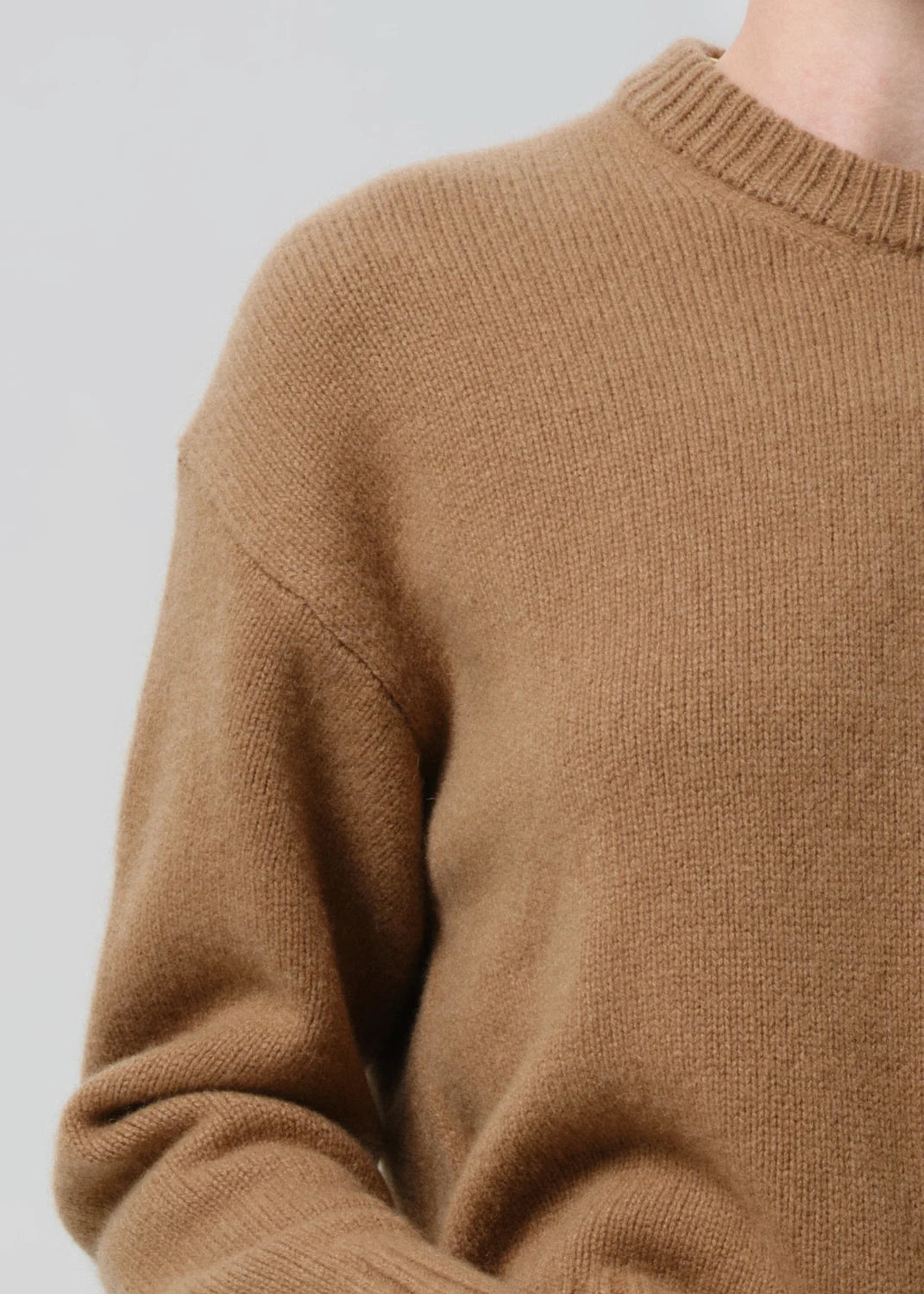 Freshman Crewneck Sweater in Camel