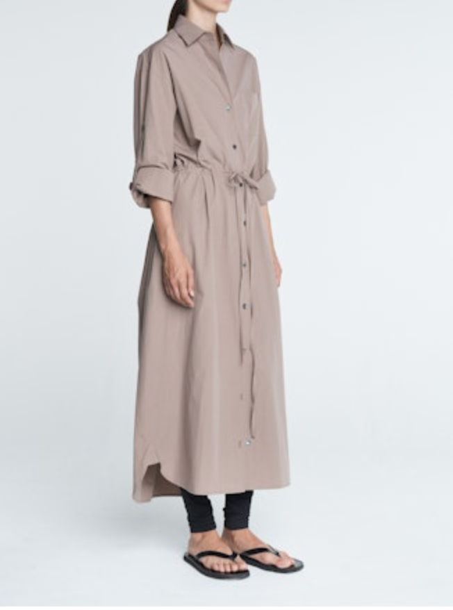 Drawstring Shirt Dress in Mouseback
