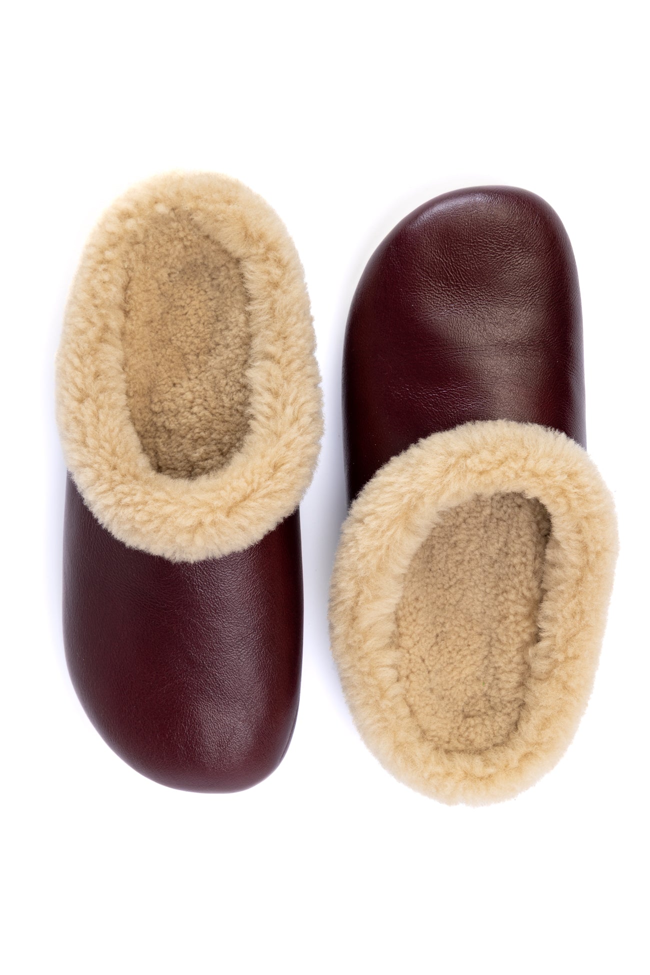 Muti Slide in Burgundy/Beige