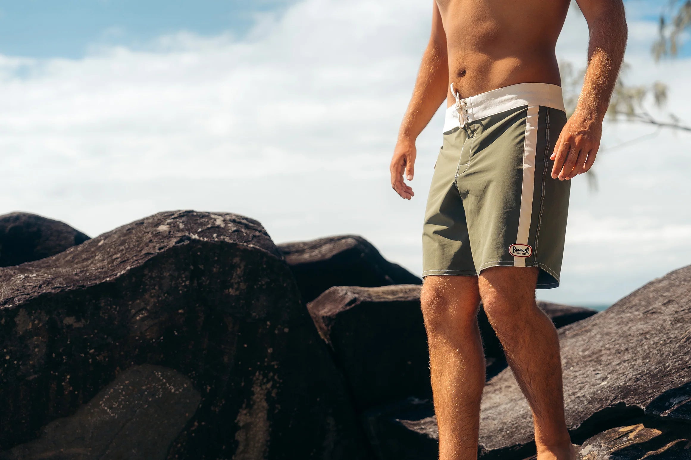 808 Mono Stripe Boardshorts in Army/Bone