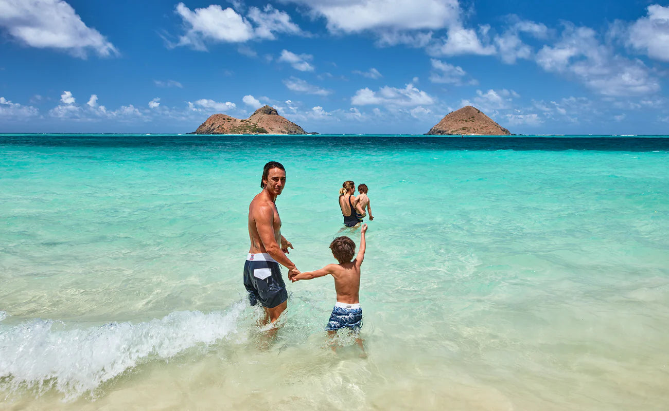 808 Mono Stripe Boardshorts in Navy/Bone