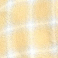 Chloé Bib Button Down in Airbrush Flannel